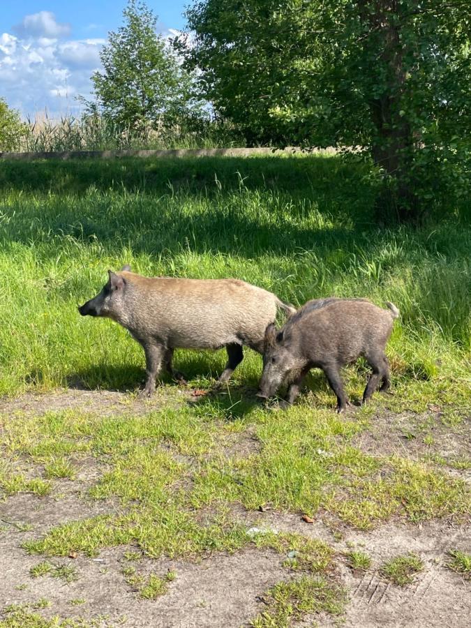 Mielno Enklawa 28 Leilighet Unieście Eksteriør bilde